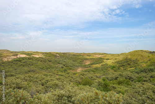 Dunes along the dutch coast in summer © Naj