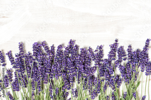 Fototapeta Naklejka Na Ścianę i Meble -  Lavender flowers over white wooden texture background