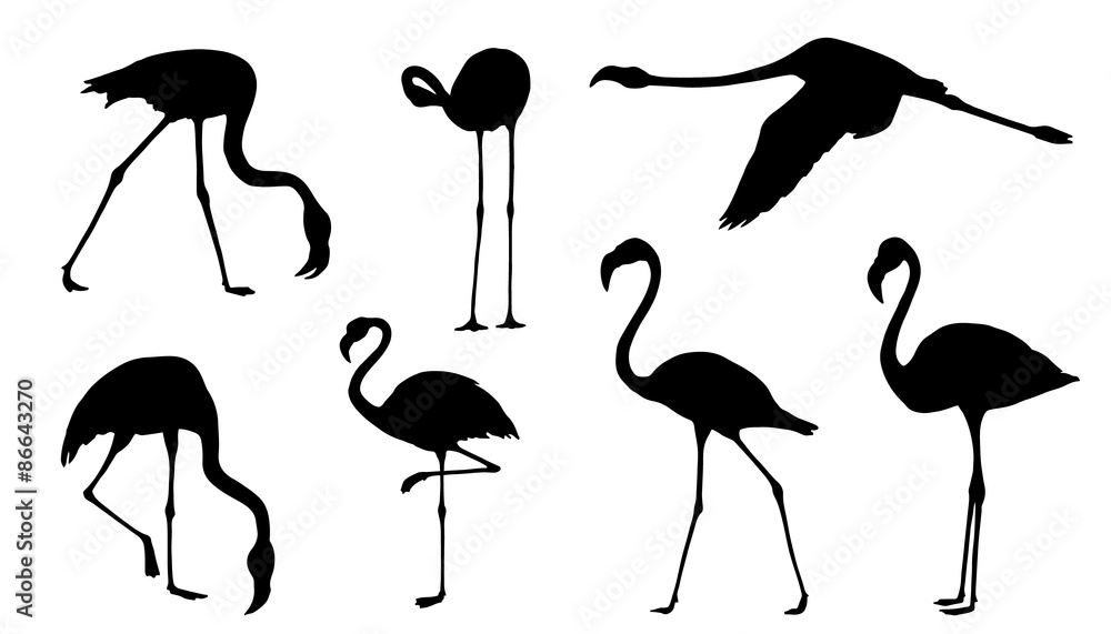 Fototapeta premium sylwetki flamingów