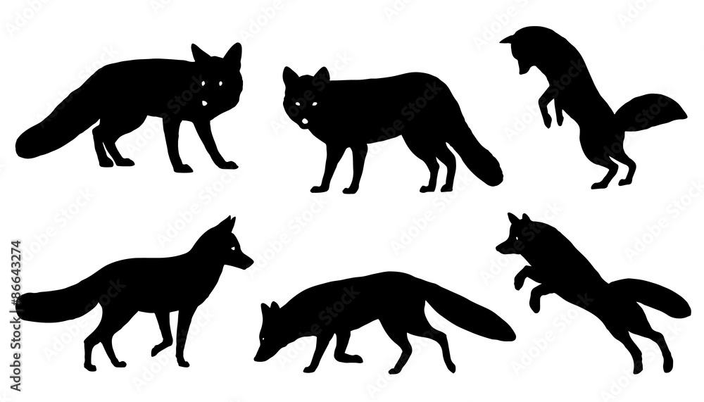 fox silhouettes - obrazy, fototapety, plakaty 