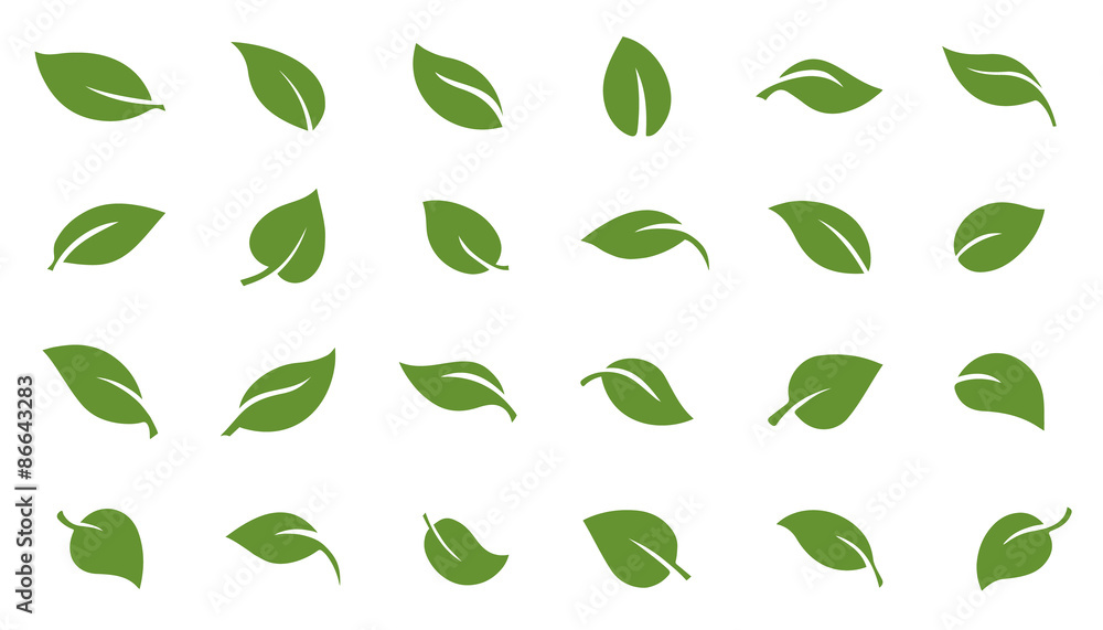 leafs green - obrazy, fototapety, plakaty 