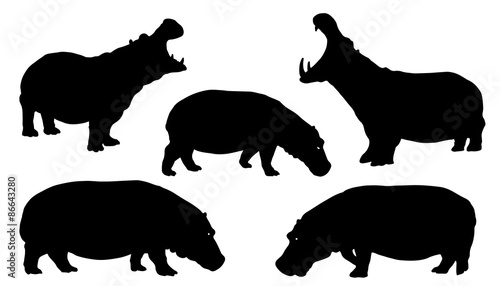 Canvas-taulu hippo silhouettes