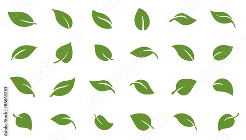 Canvas-taulu leafs green