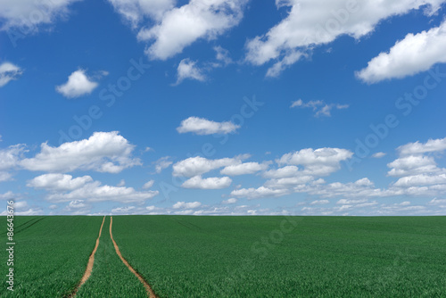 Weg zum Horizont durch ein grünes Feld