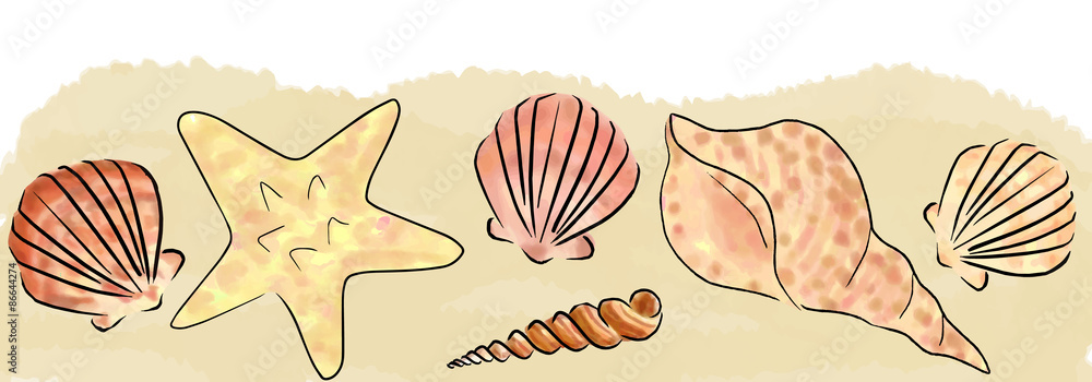 sand and shells border sand and shells border