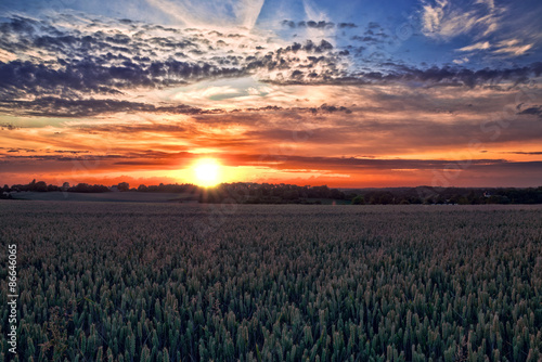 Sonnenuntergang über den Getreidefeld, HDR look © Alessandro2802