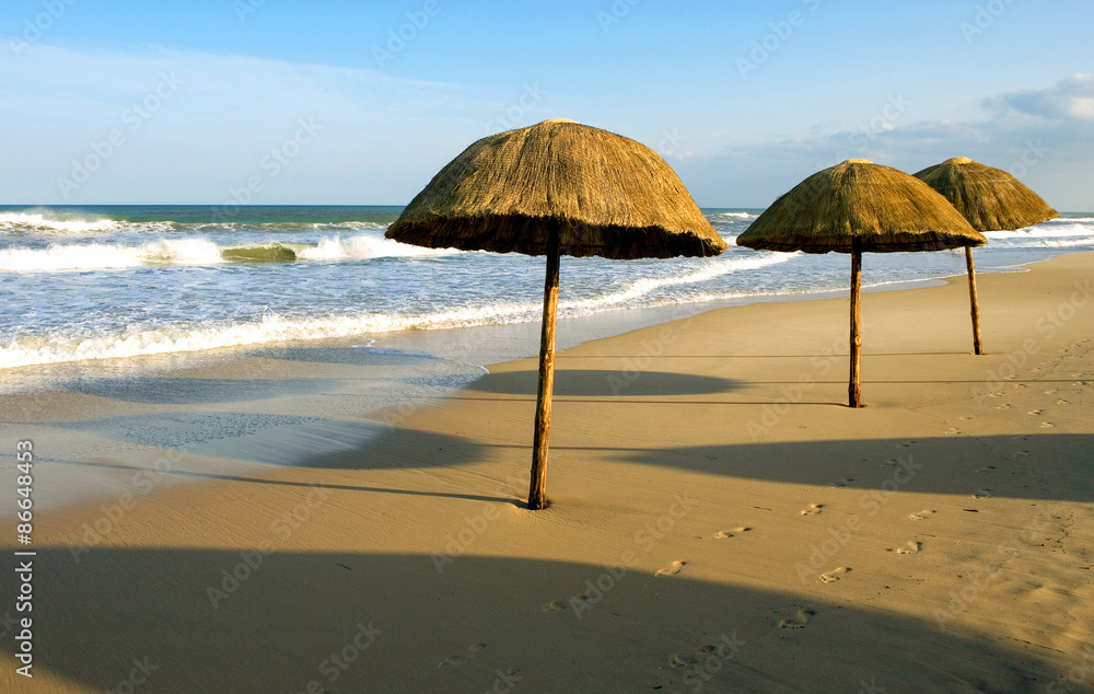 Tunisia, Hammamet, umbrellas on the beach of the turistic area of Yasmine