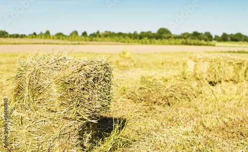 Cubic bales of dry hay