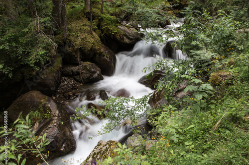 Fototapeta Naklejka Na Ścianę i Meble -  Water flowing down in the forest