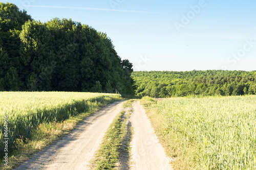 earthen road in a wheat field