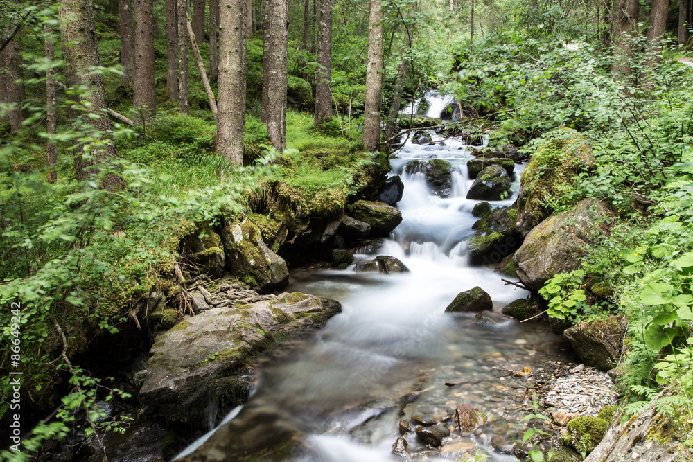 Small river in the forest Small river in the forest