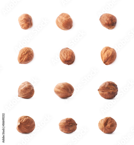 Wallpaper Mural Single hazelnut isolated Torontodigital.ca