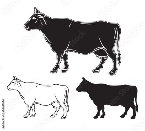 Hand drawn cow set. Vector illustration