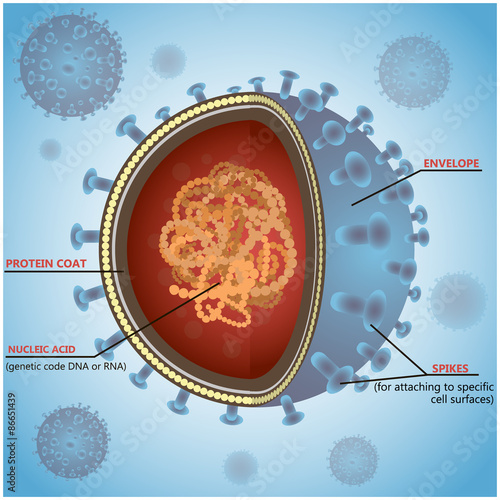 Blue virus cells or bacteria on background. Vector illustration