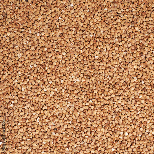 Surface covered with the buckwheat seeds
