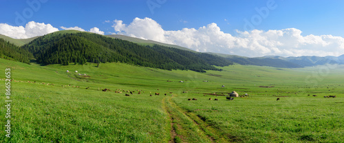 Alpine meadow at Asy Plateau, Tien-Shan, Kazakhstan