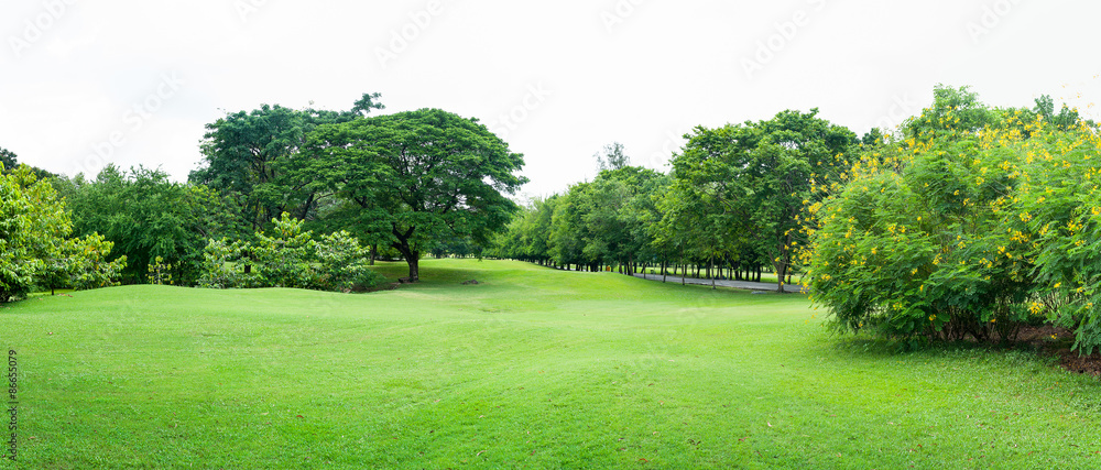green grass field in big city park panoram - obrazy, fototapety, plakaty 