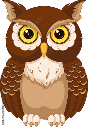 Owl coloring page photo
