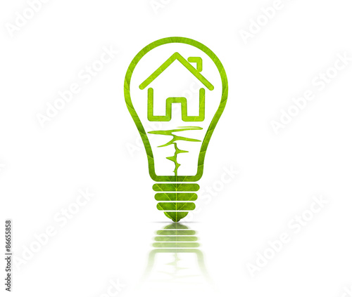 Electric light bulb and house inside