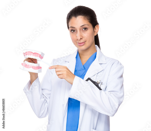 Dentist holding with denture and toothbrush