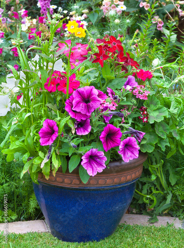 Mixed flowers set in a blue planter.