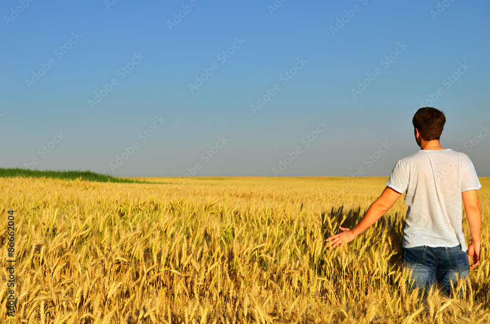 young man looks into the distance in a barley field young man looks into the distance in a barley field