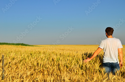 young man looks into the distance in a barley field