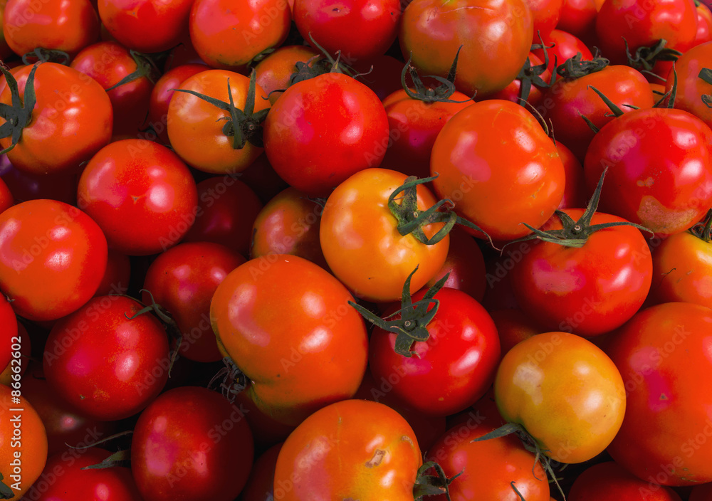 Group of fresh tomatoes in the market,Thailand Group of fresh tomatoes in the market,Thailand