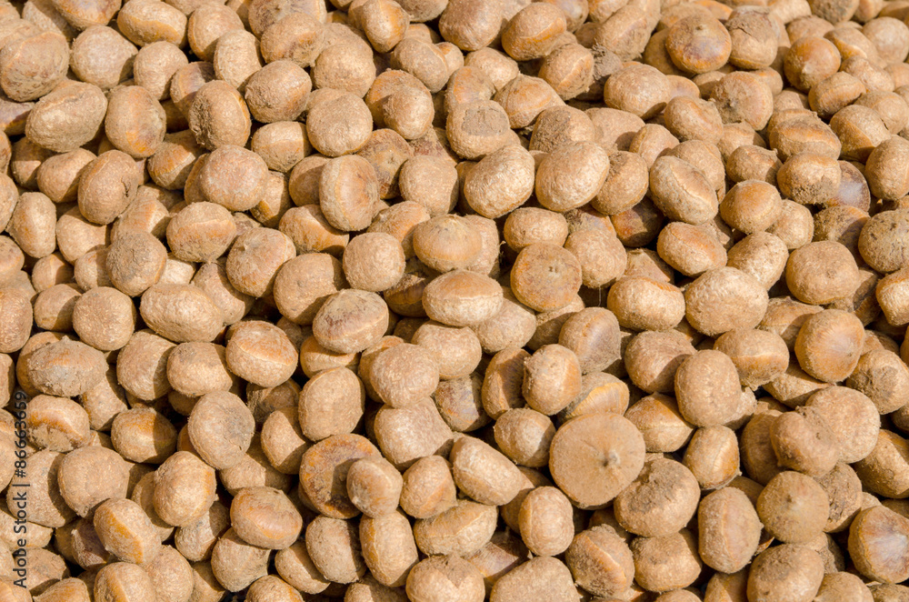 native raw chestnut in thailand. a kind of chestnut. pile of thai chestnut in local market native raw chestnut in thailand. a kind of chestnut. pile of thai chestnut in local market