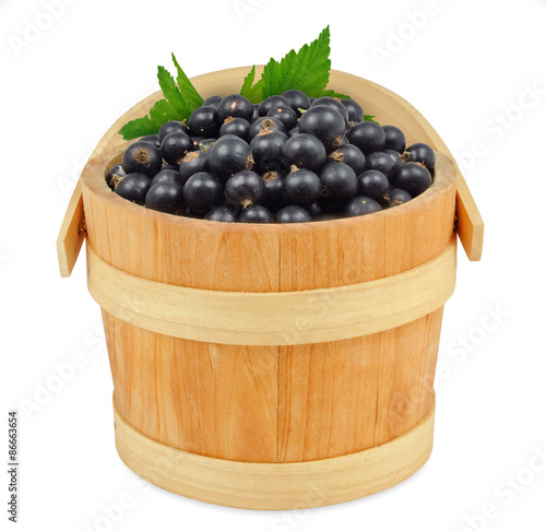 black currant in a wooden bucket isolated on white