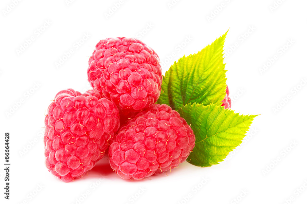 Raspberry Raspberry
