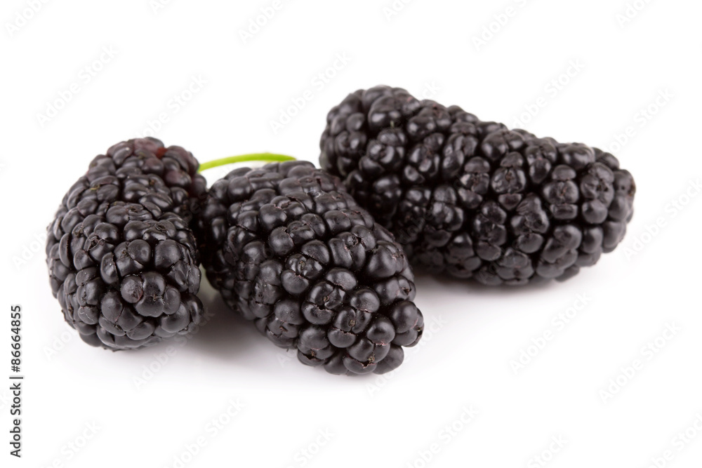 mulberries mulberries
