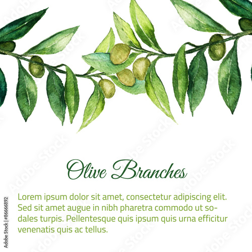 Vector watercolor hand drawn olive branch background with green leaves.