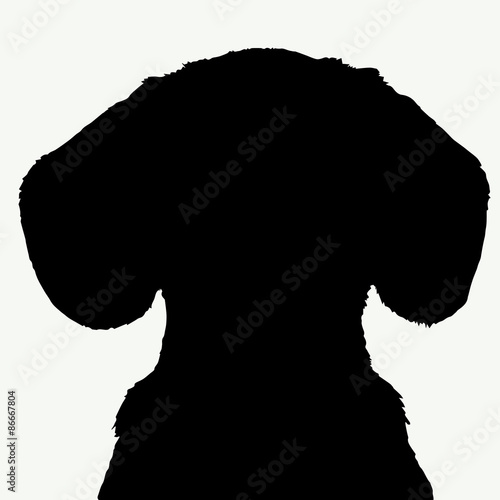  Dog silhouette on white background