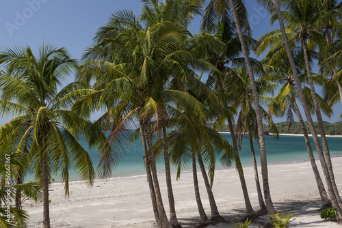 Palm trees on tropical beach under blue sky, Pearl island archipelago, Panama, Central America © Amaiquez
