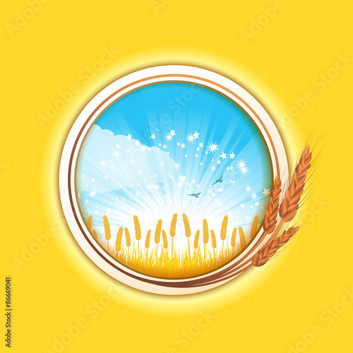wheat border and field