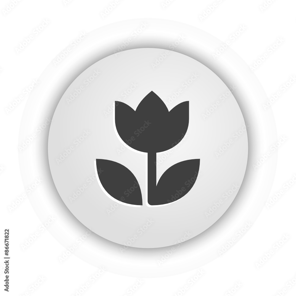 App Button App Button