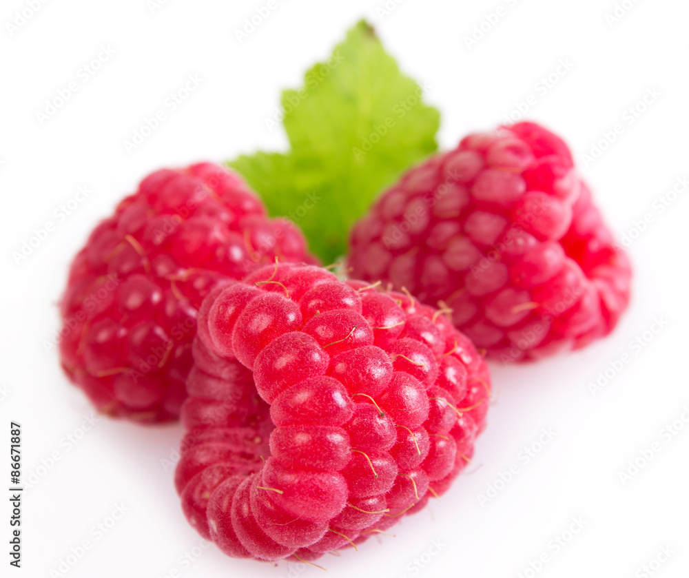 Fresh raspberry Fresh raspberry