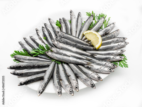 Fresh and raw mediterranean anchovy on white background