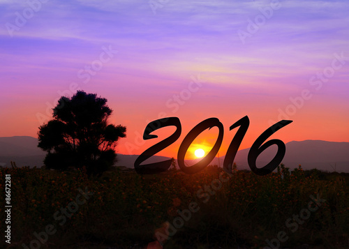 2016, on landscape background at sunset.
