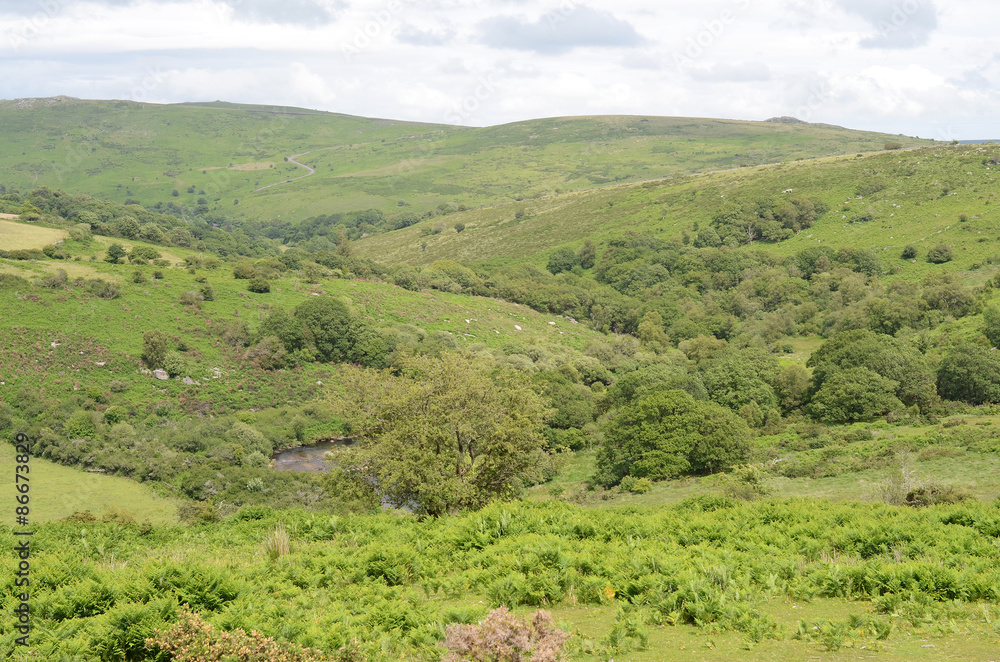 Dartmoor National Park, Devon Dartmoor National Park, Devon