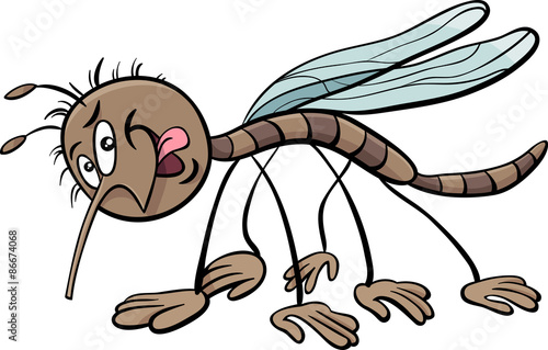 mosquito character cartoon illustration