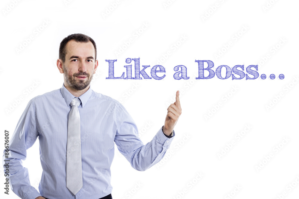 Like a Boss Like a Boss