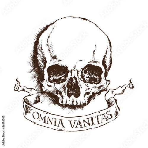 skull. drawing style. vector illustration