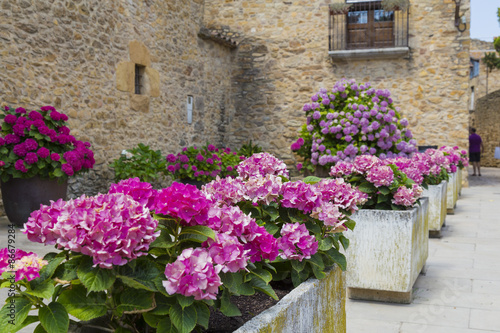 Fototapeta Naklejka Na Ścianę i Meble -  Pink decoration outdoor flowers on rock pots