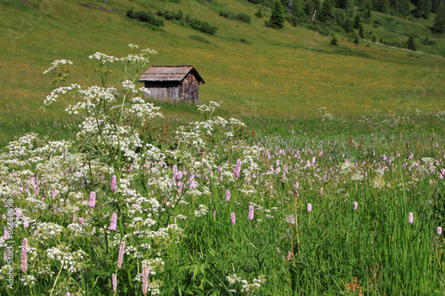 Alta Badia - Dolomiti photo