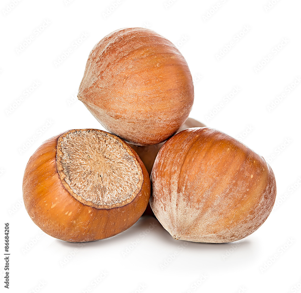 Hazelnuts isolated on white background Hazelnuts isolated on white background