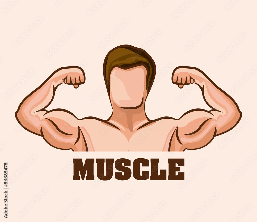 Gym design Gym design