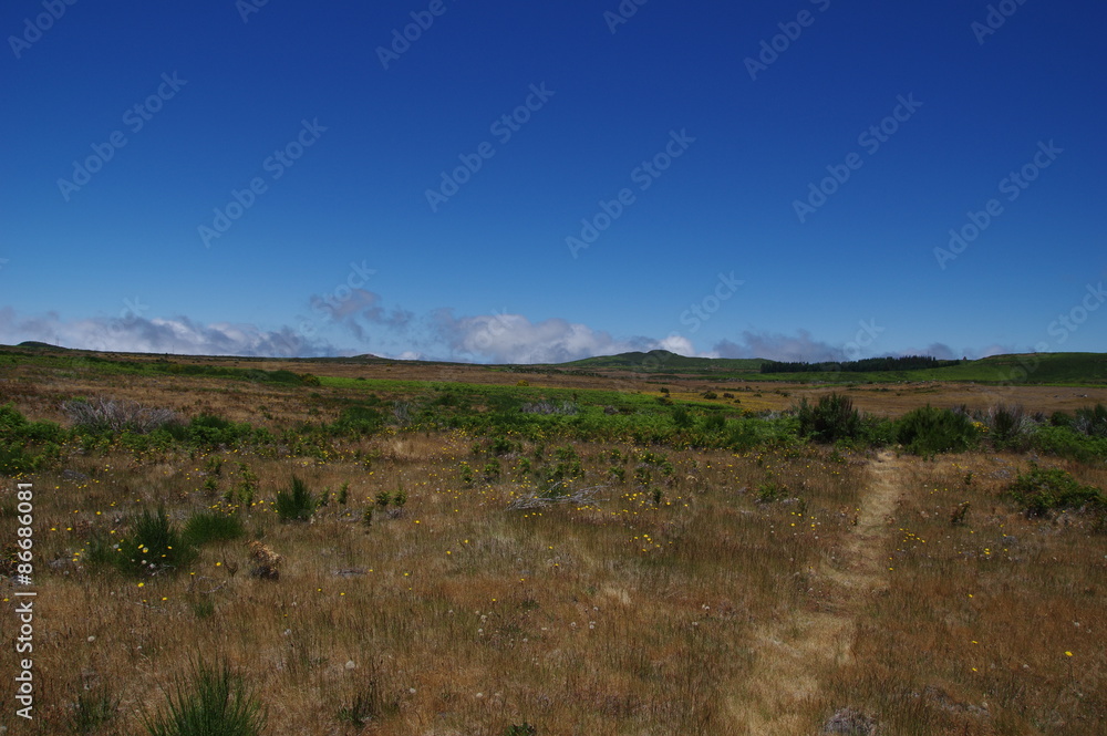 Madeira Plateau