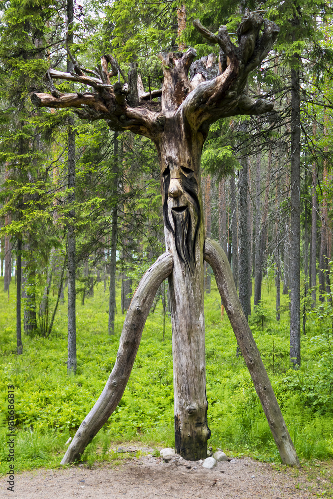 Fototapeta premium Wooden russian spirit of forest, vertical